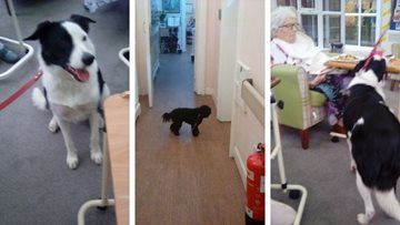 Belper care home celebrates National Love Your Pet Day